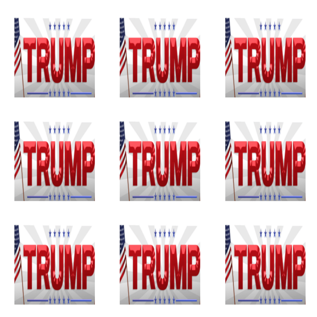 Trump w Flag
