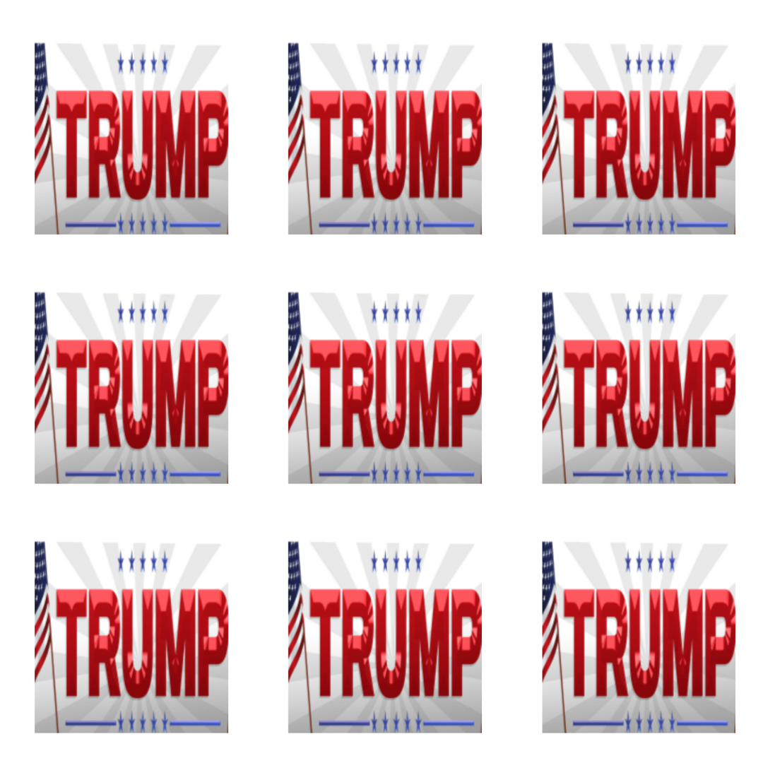 Trump w Flag
