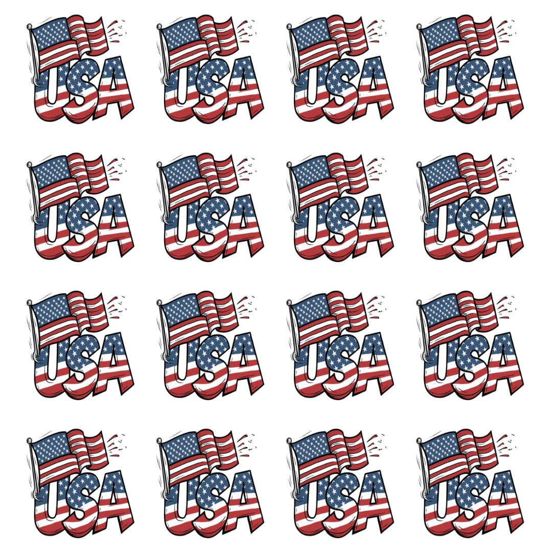 USA w Flag