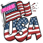 USA w Flag